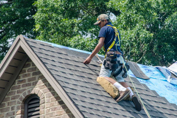 Professional Roofing Contractor in Gravette, AR